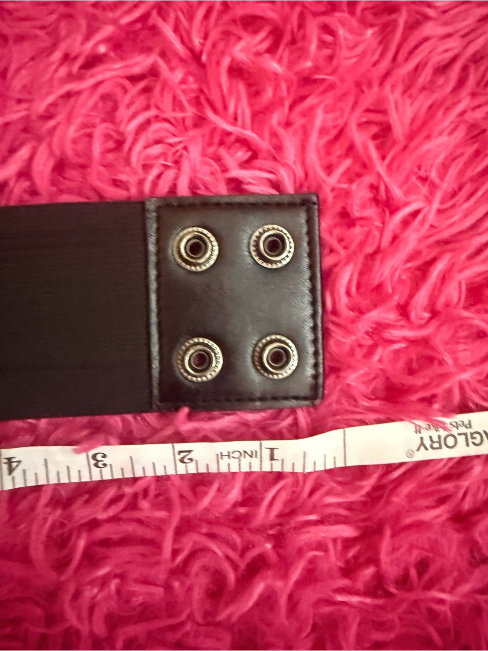 Black Studded 'Abbey Dawn' Belt - Picture 5 of 6